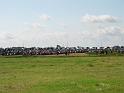 Assen_2004_Bild_030