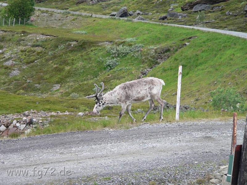 Nordkap_2006_Bild_052.jpg
