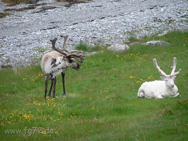 Nordkap_2006_Bild_061.jpg