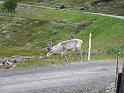 Nordkap_2006_Bild_052