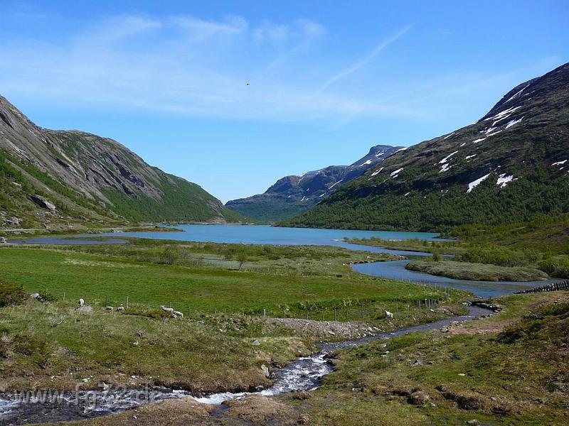 Norwegen_2007_Bild_082.jpg