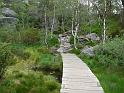 Norwegen_2007_Bild_036