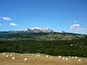 Norwegen_2007_Bild_059