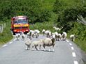 Norwegen_2007_Bild_073