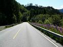 Norwegen_2007_Bild_100