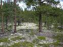Norwegen_2007_Bild_114
