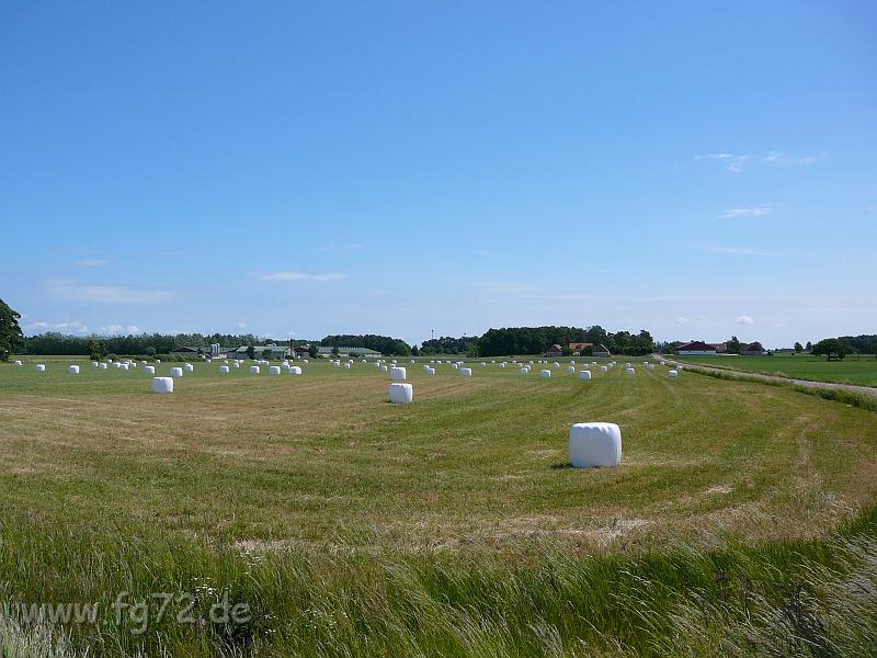 Schweden-Finnland_2008_Bild_014.jpg