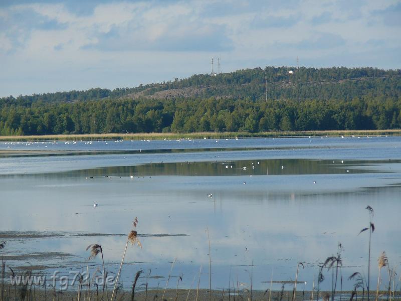 Schweden-Finnland_2008_Bild_088.jpg