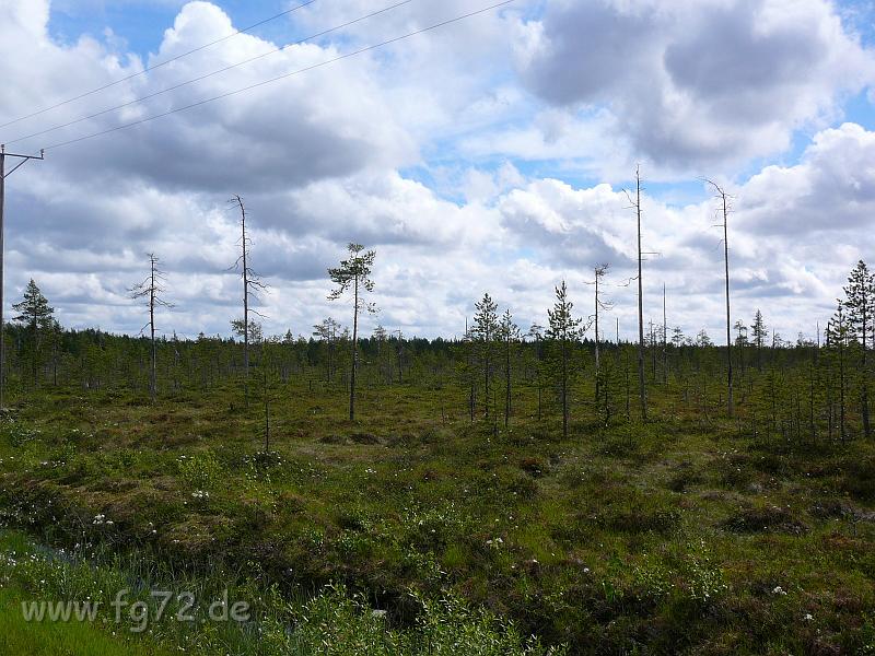 Schweden-Finnland_2008_Bild_177.jpg