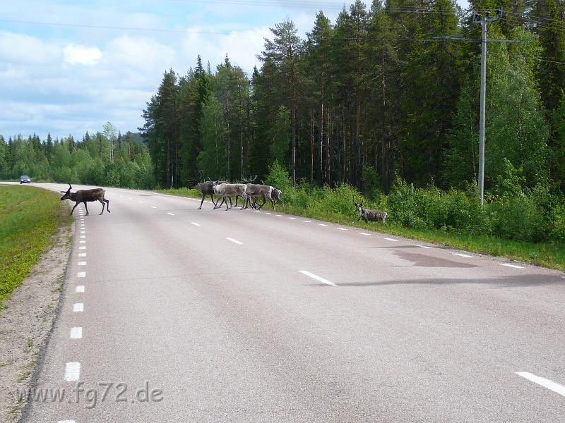 Schweden-Finnland_2008_Bild_181.jpg