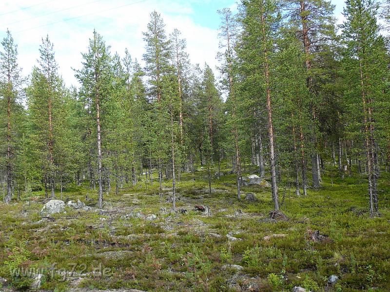 Schweden-Finnland_2008_Bild_185.jpg