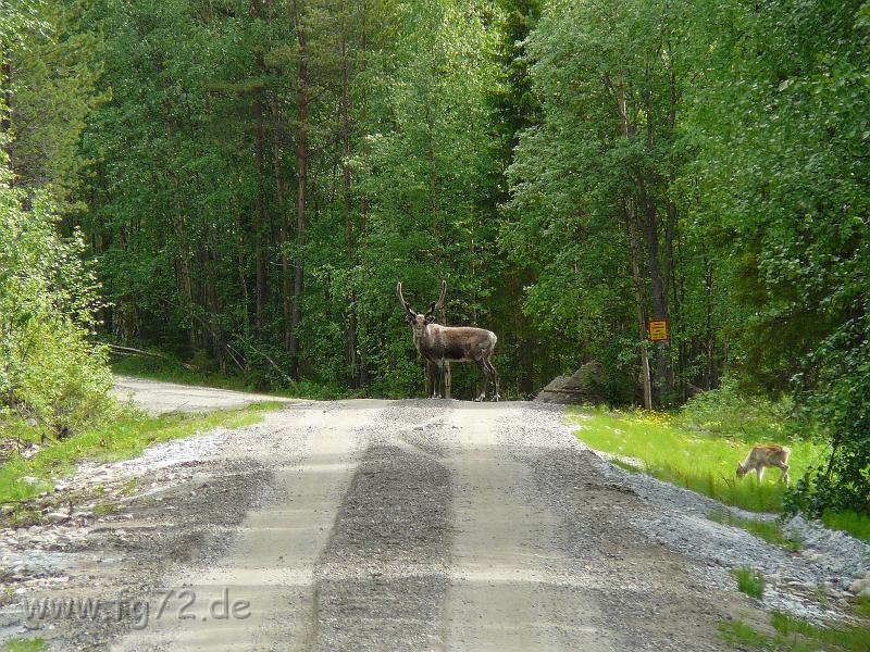 Schweden-Finnland_2008_Bild_192.jpg