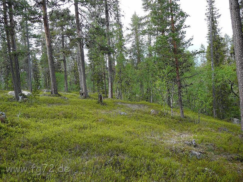 Schweden-Finnland_2008_Bild_202.jpg