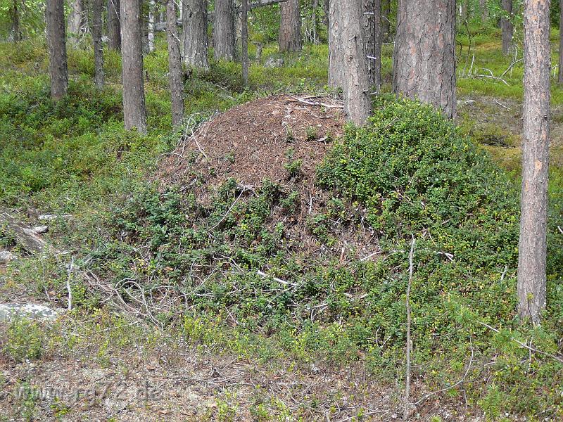 Schweden-Finnland_2008_Bild_204.jpg