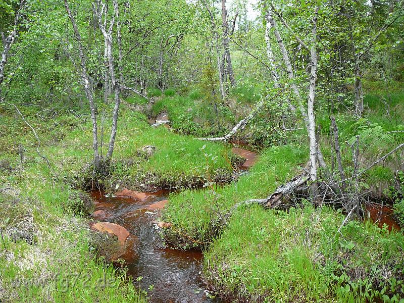 Schweden-Finnland_2008_Bild_210.jpg