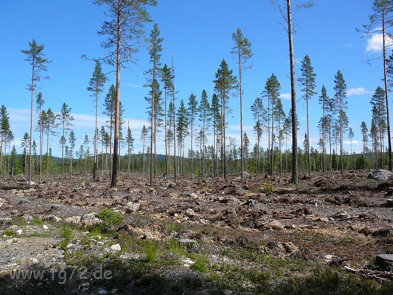 Schweden-Finnland_2008_Bild_285.jpg