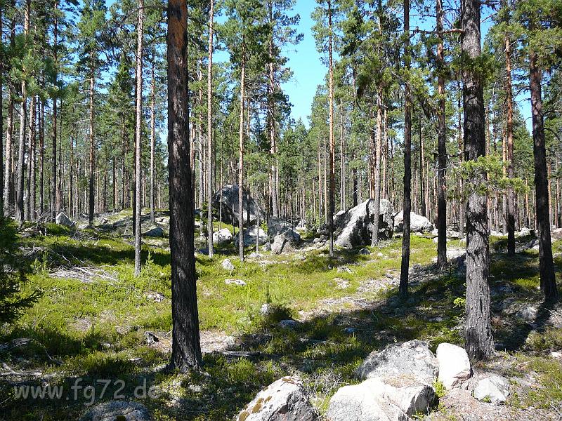 Schweden-Finnland_2008_Bild_286.jpg