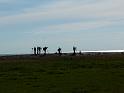 Schweden-Finnland_2008_Bild_027
