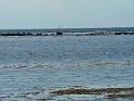 Schweden-Finnland_2008_Bild_029