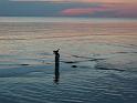 Schweden-Finnland_2008_Bild_041