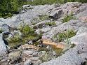 Schweden-Finnland_2008_Bild_064