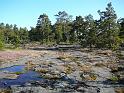 Schweden-Finnland_2008_Bild_081