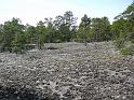 Schweden-Finnland_2008_Bild_095