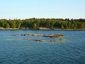 Schweden-Finnland_2008_Bild_111