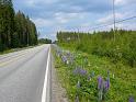 Schweden-Finnland_2008_Bild_141
