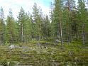 Schweden-Finnland_2008_Bild_185