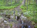 Schweden-Finnland_2008_Bild_195