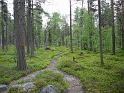 Schweden-Finnland_2008_Bild_196