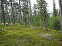 Schweden-Finnland_2008_Bild_202
