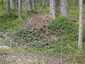 Schweden-Finnland_2008_Bild_204