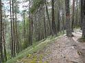 Schweden-Finnland_2008_Bild_205