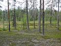 Schweden-Finnland_2008_Bild_215
