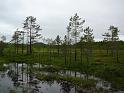 Schweden-Finnland_2008_Bild_226