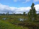 Schweden-Finnland_2008_Bild_258