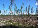 Schweden-Finnland_2008_Bild_285