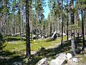Schweden-Finnland_2008_Bild_286