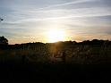 Schweden-Finnland_2008_Bild_358