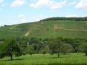schwaebische_Alb_und_Alpen_2009_Bild_252