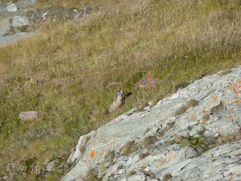 Alpentour_I-A_09-2010_Bild_046.jpg