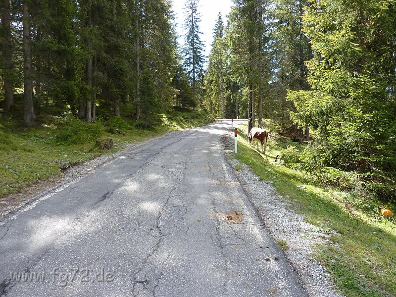 Alpentour_I-A_09-2010_Bild_190.jpg