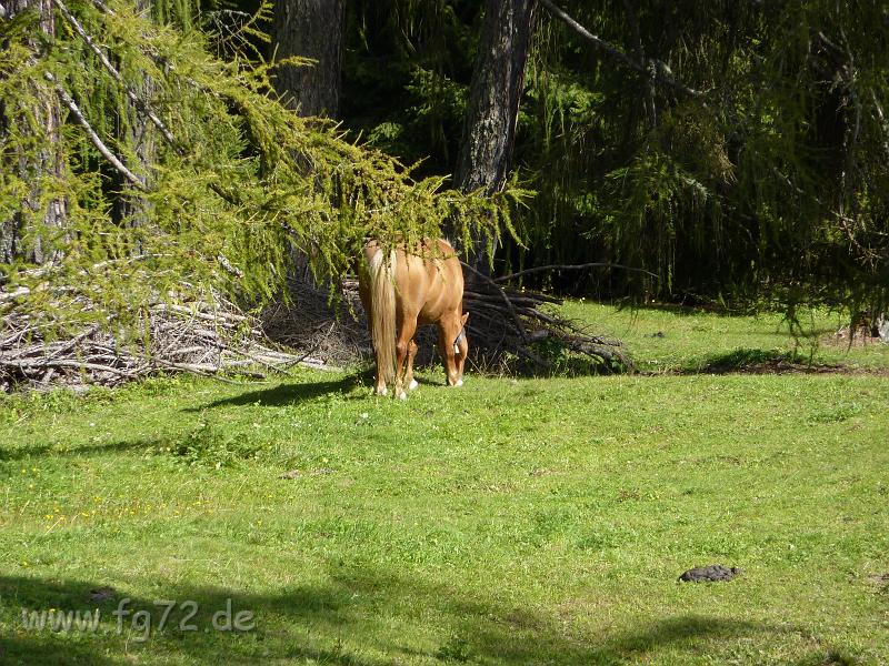 Alpentour_I-A_09-2010_Bild_200.jpg