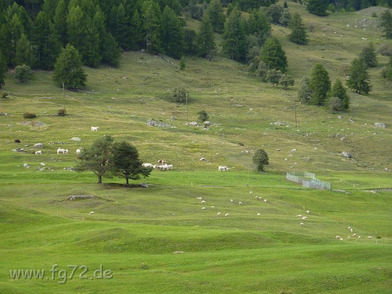 Alpentour_I-A_09-2010_Bild_263.jpg