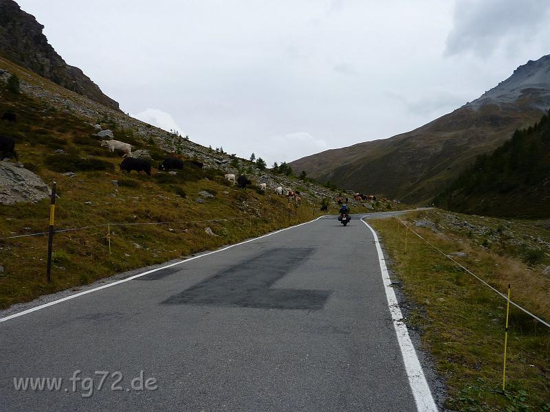 Alpentour_I-A_09-2010_Bild_271.jpg
