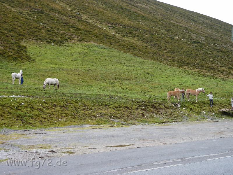 Alpentour_I-A_09-2010_Bild_305.jpg