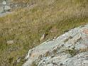 Alpentour_I-A_09-2010_Bild_046
