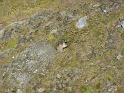 Alpentour_I-A_09-2010_Bild_047